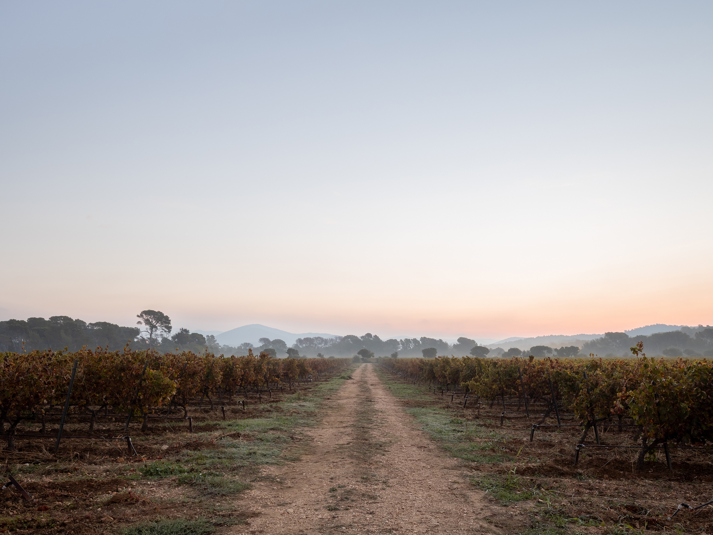 Vue depuis le projet de vGH company à la Londe les Maures